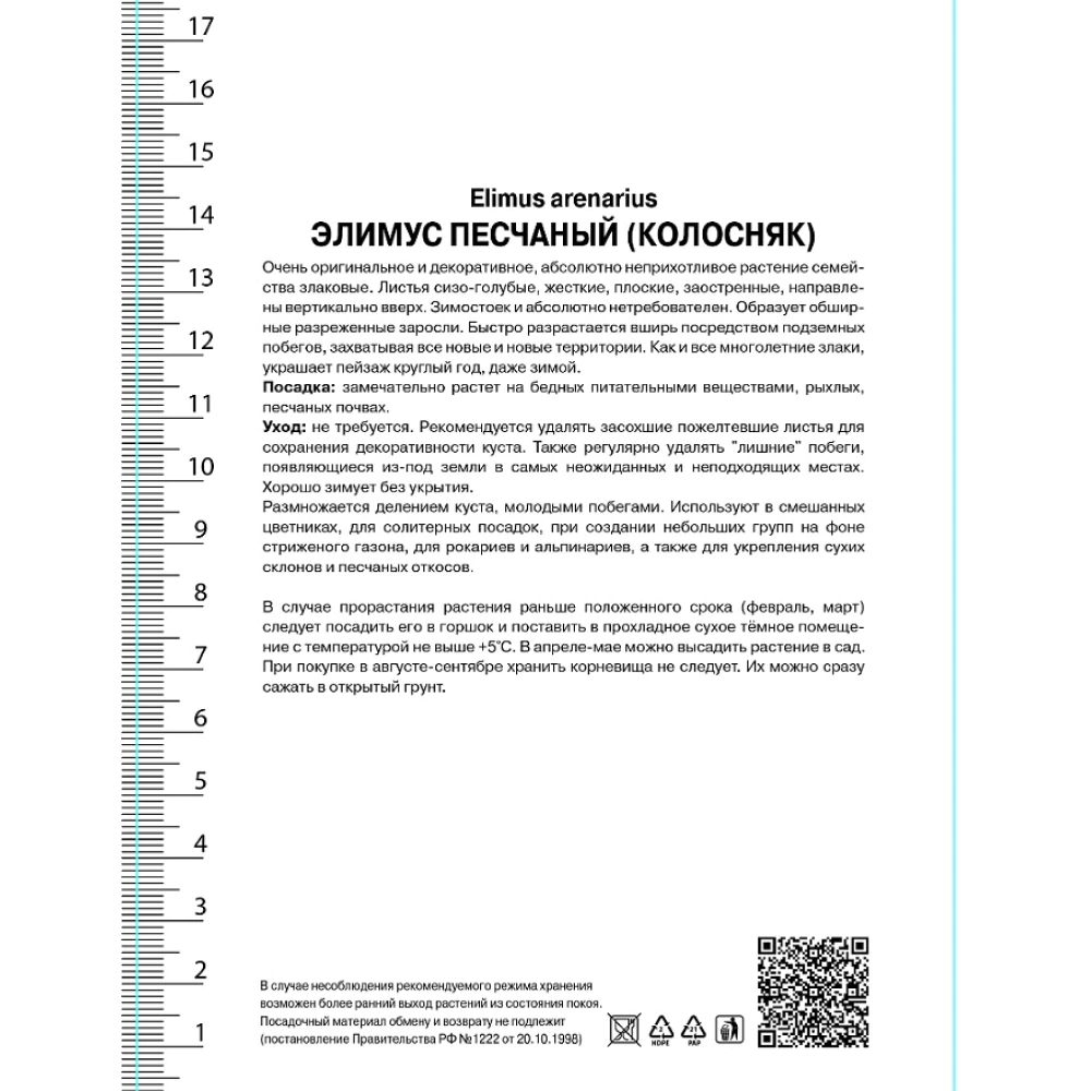 Злаки декоративные Элимус песчаный 1 шт
