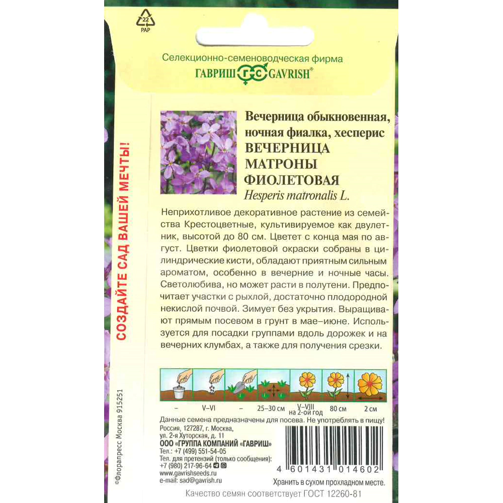 Вечерница обыкновенная (Хесперис) Вечерница Матроны фиолетовая 0,5 г