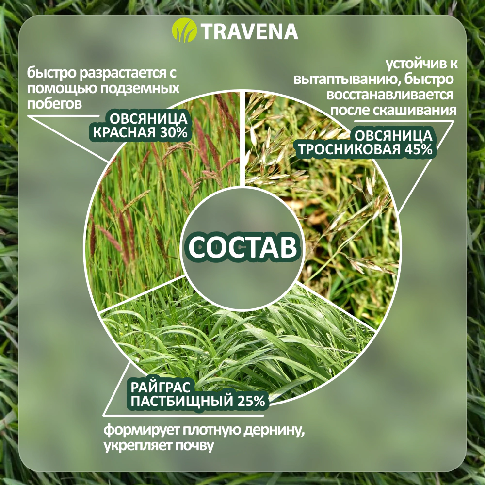 Семена газонной травы Солнечная 1 кг TRAVENA