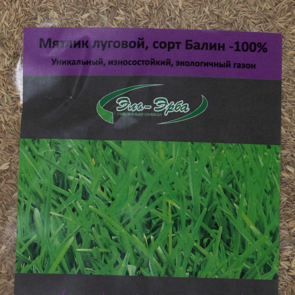 Семена газонной травы Мятлик луговой Эль-Эрба 0,5 кг