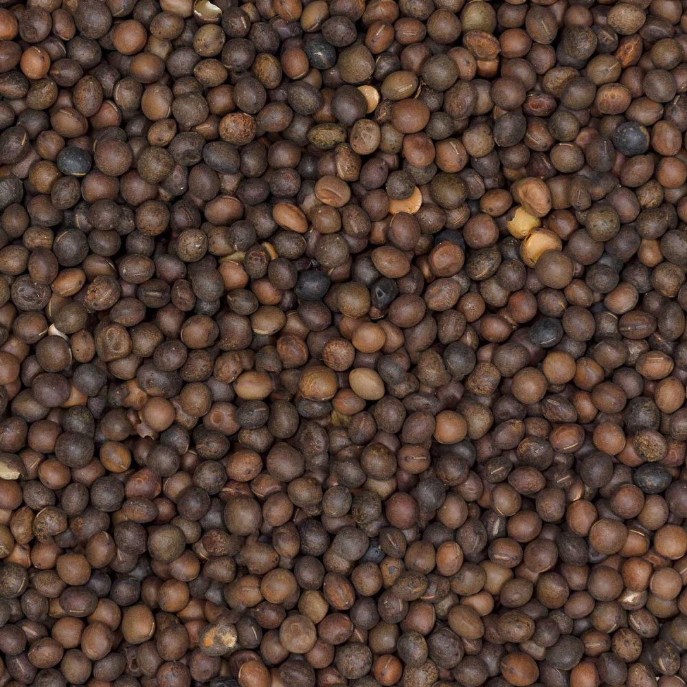 Вика яровая 0,5 кг САДОВИТА