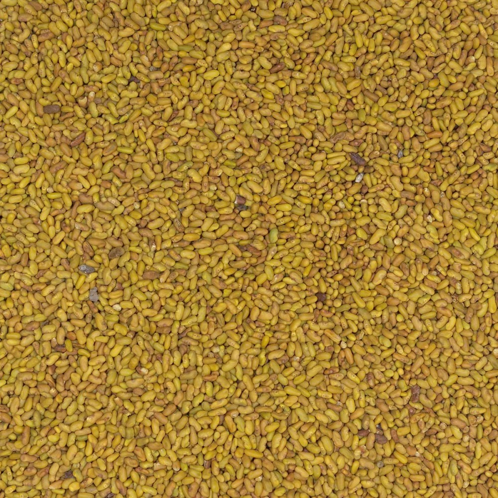 Козлятник 0,5 кг САДОВИТА