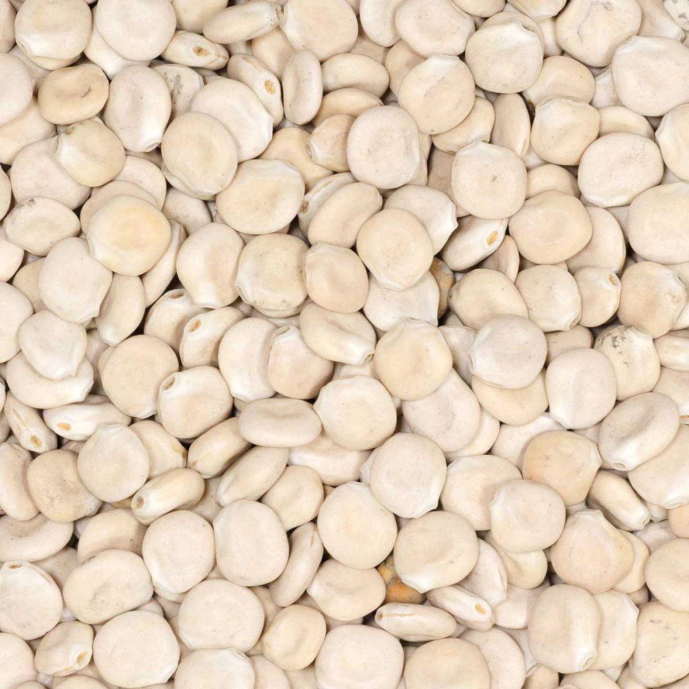 Люпин белый 0,5 кг САДОВИТА