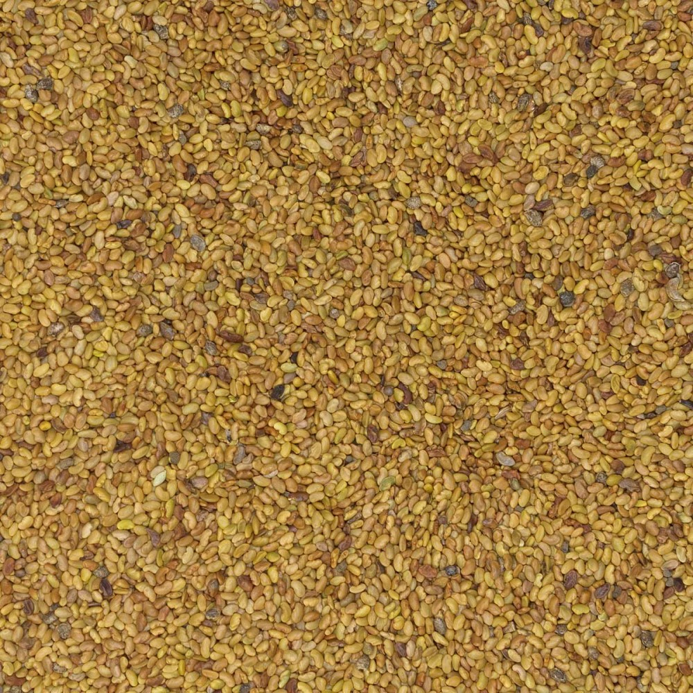 Люцерна 0,5 кг САДОВИТА