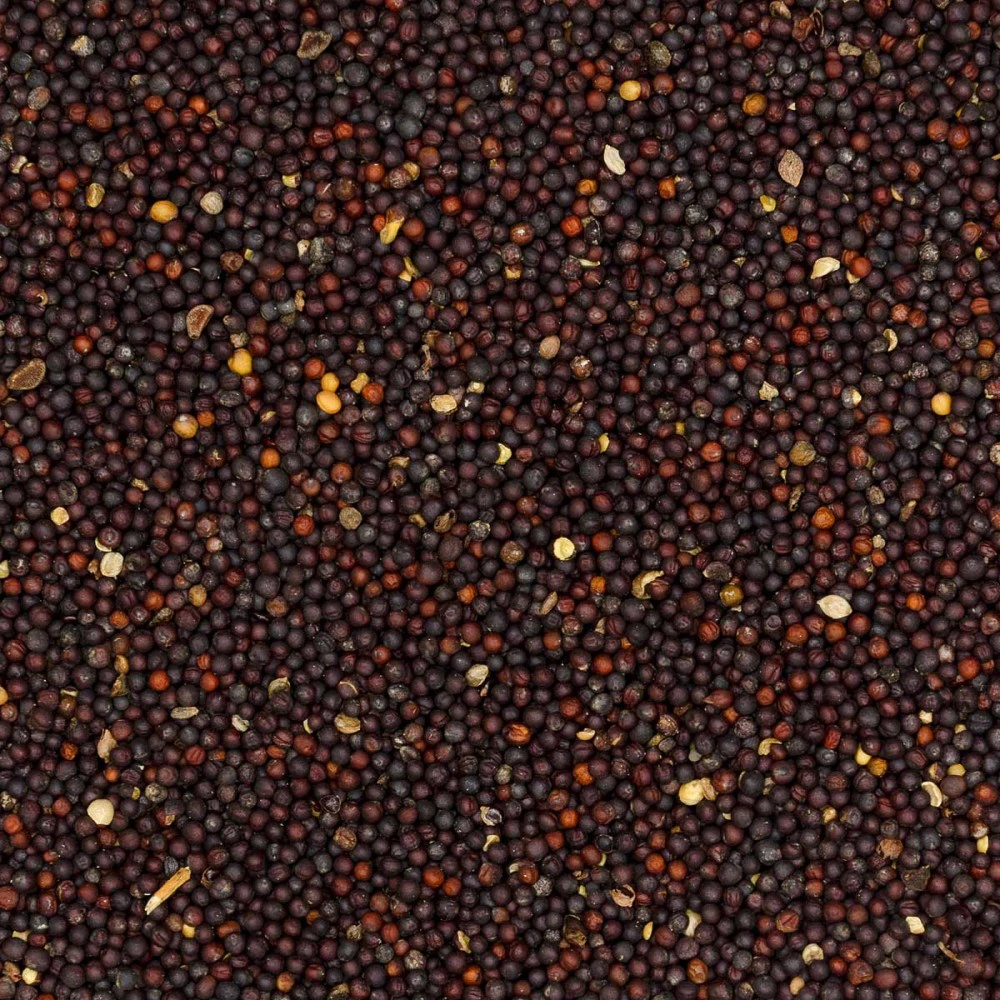 Рапс 0,5 кг САДОВИТА