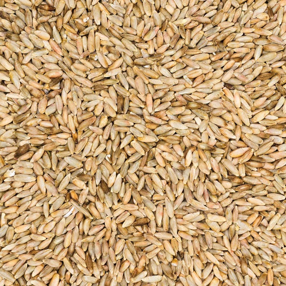 Рожь 1 кг САДОВИТА