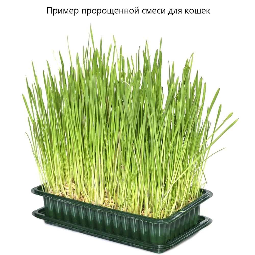 Смесь для кошек 0,5 кг САДОВИТА