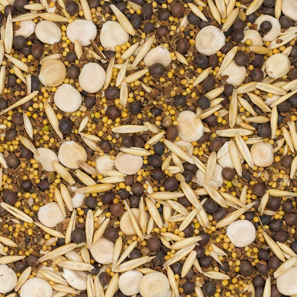 Смесь сидератов для земляники 0,5 кг САДОВИТА