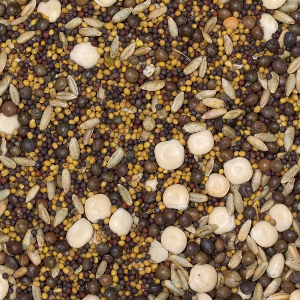 Смесь сидератов для лука и чеснока 0,5 кг САДОВИТА