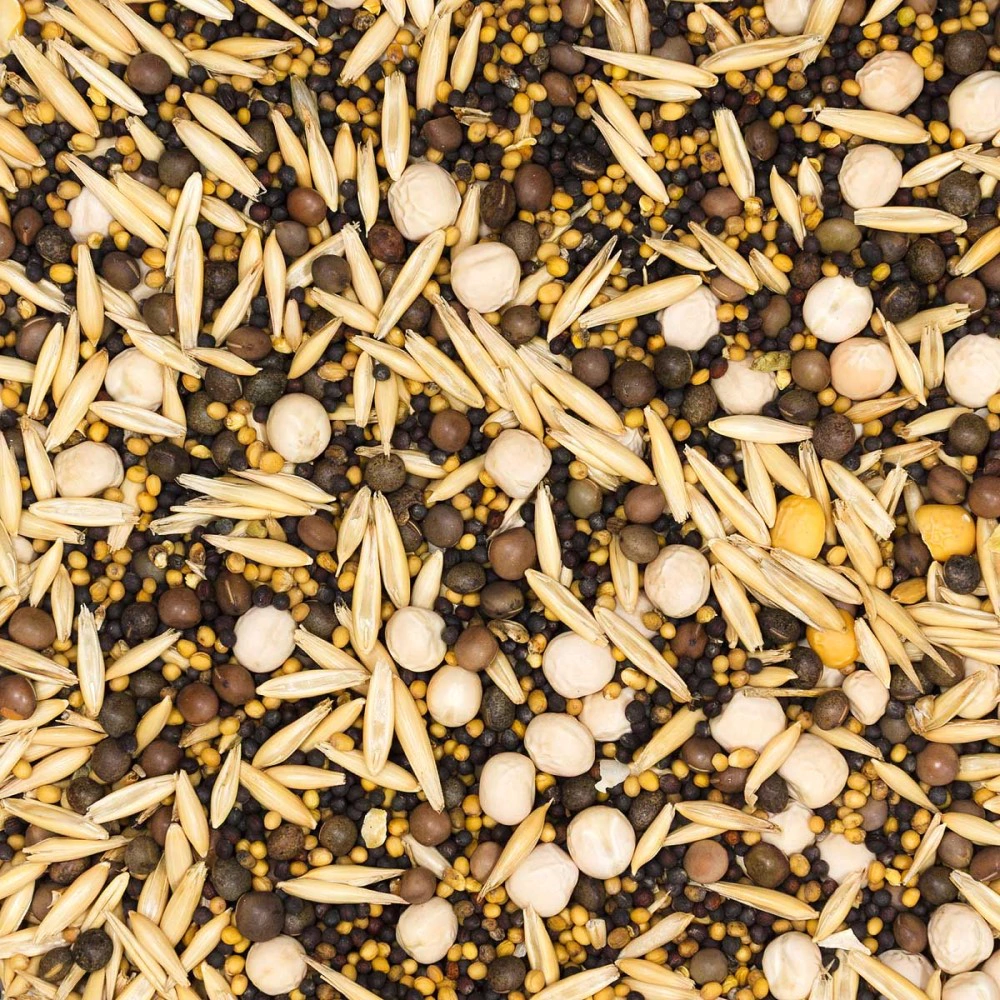 Смесь сидератов для огурца 0,5 кг САДОВИТА