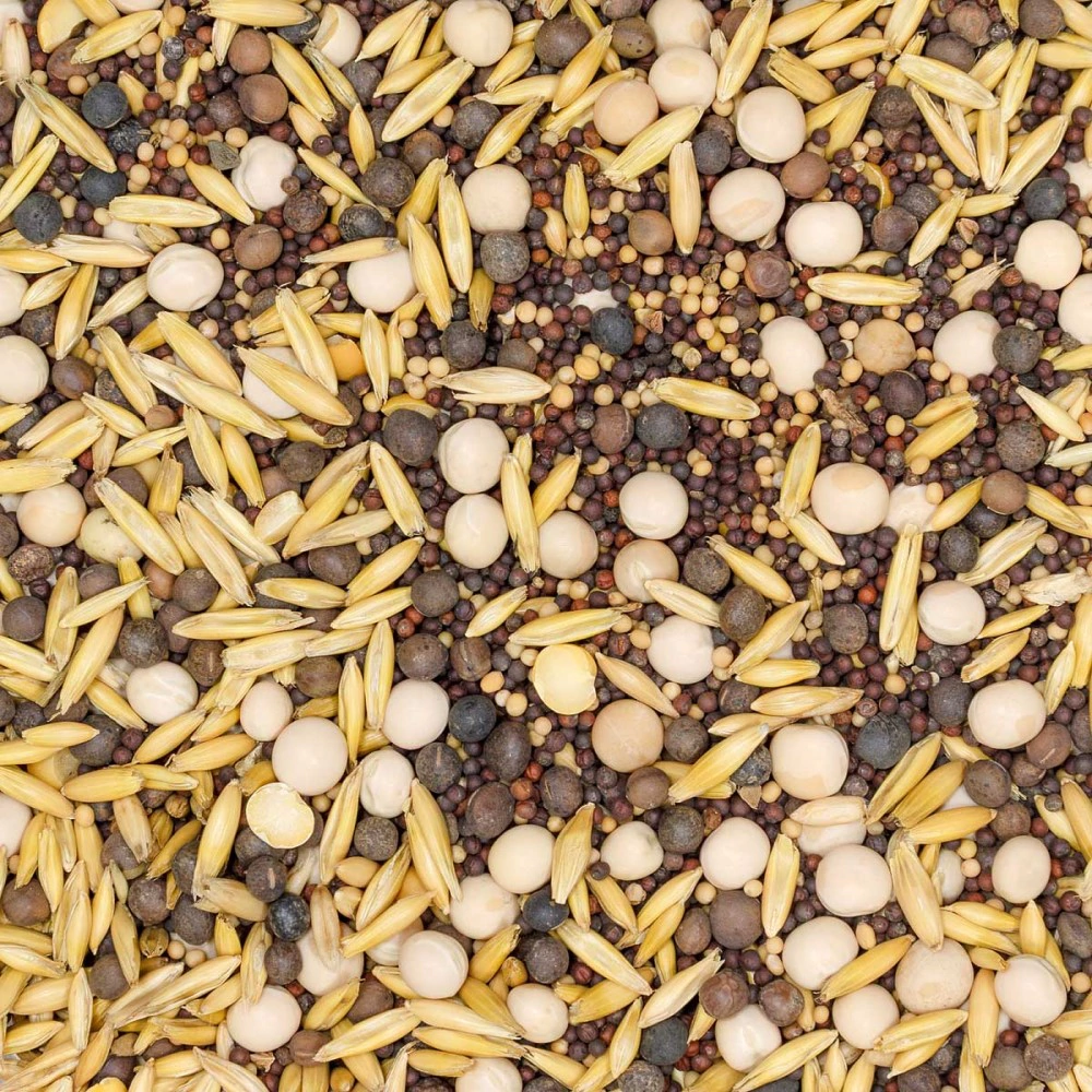 Смесь сидератов для улучшения почвы 0,5 кг САДОВИТА