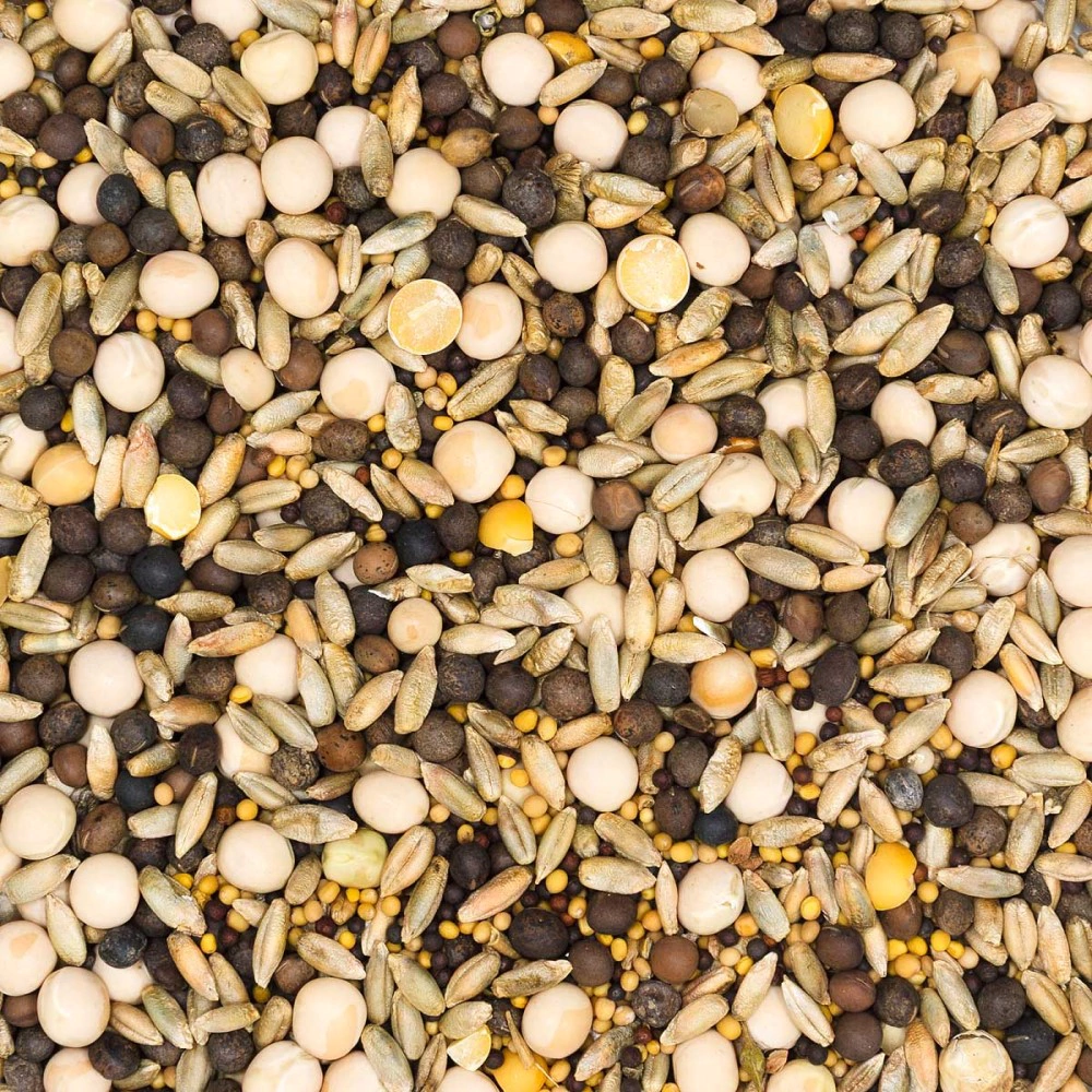 Смесь сидератов после уборки урожая для восстановления почвы 1 кг САДОВИТА