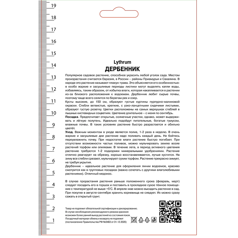 Дербенник иволистный 1 шт