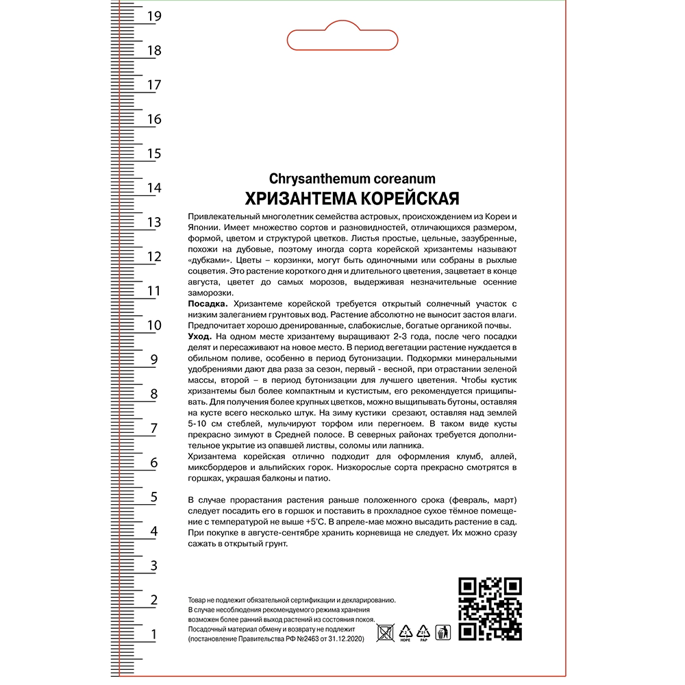 Хризантема корейская Виталина 1 шт