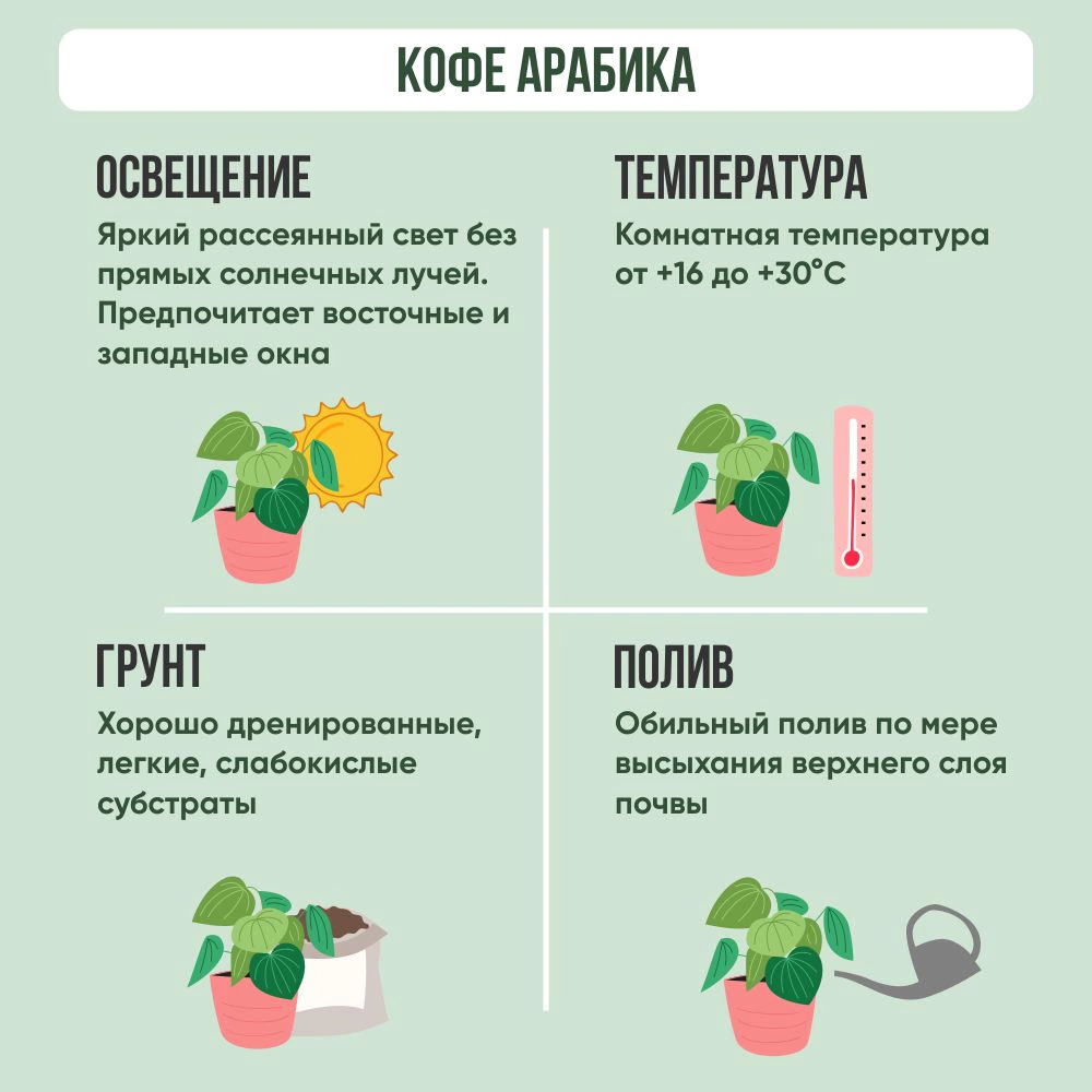 Кофе Арабика d12 см h25 см 7цветов