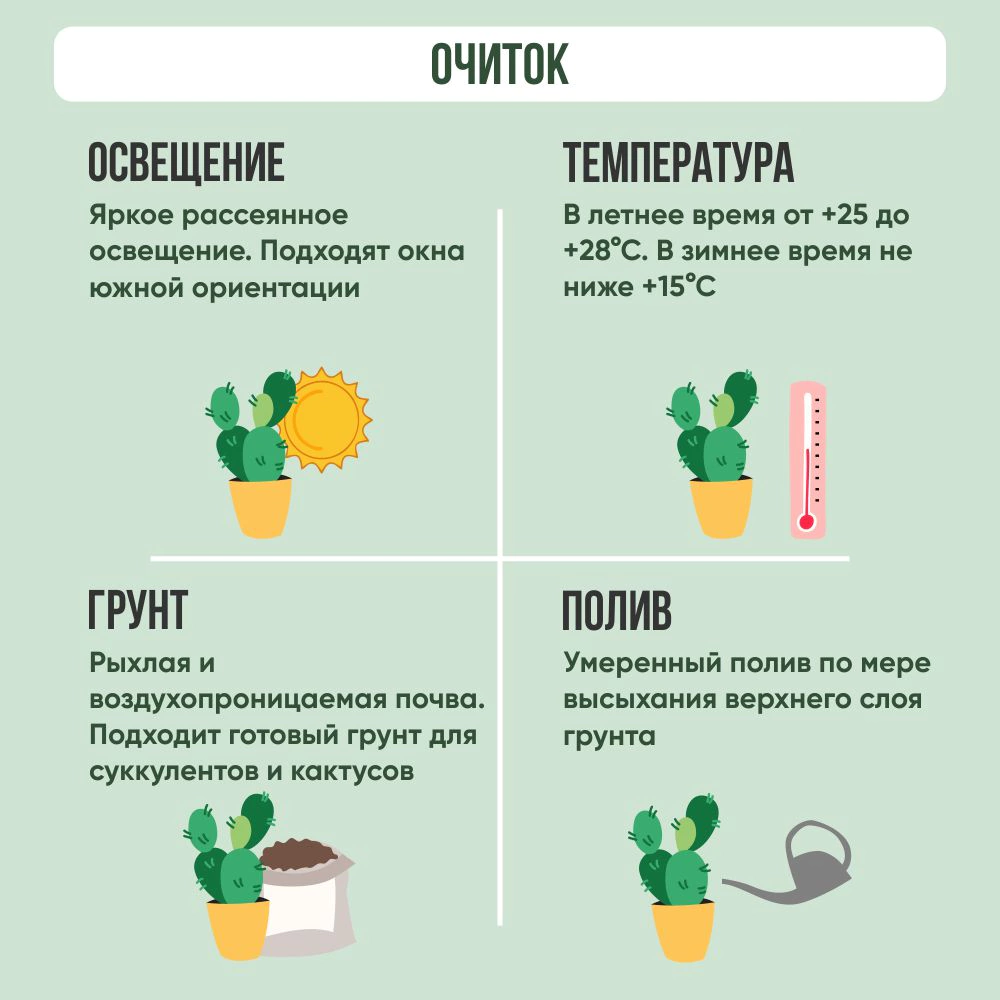 Очиток микс d16 см