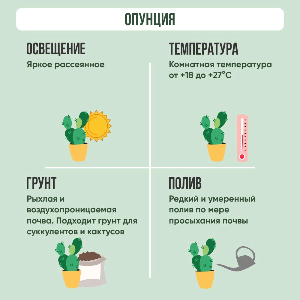 Опунция d18 см