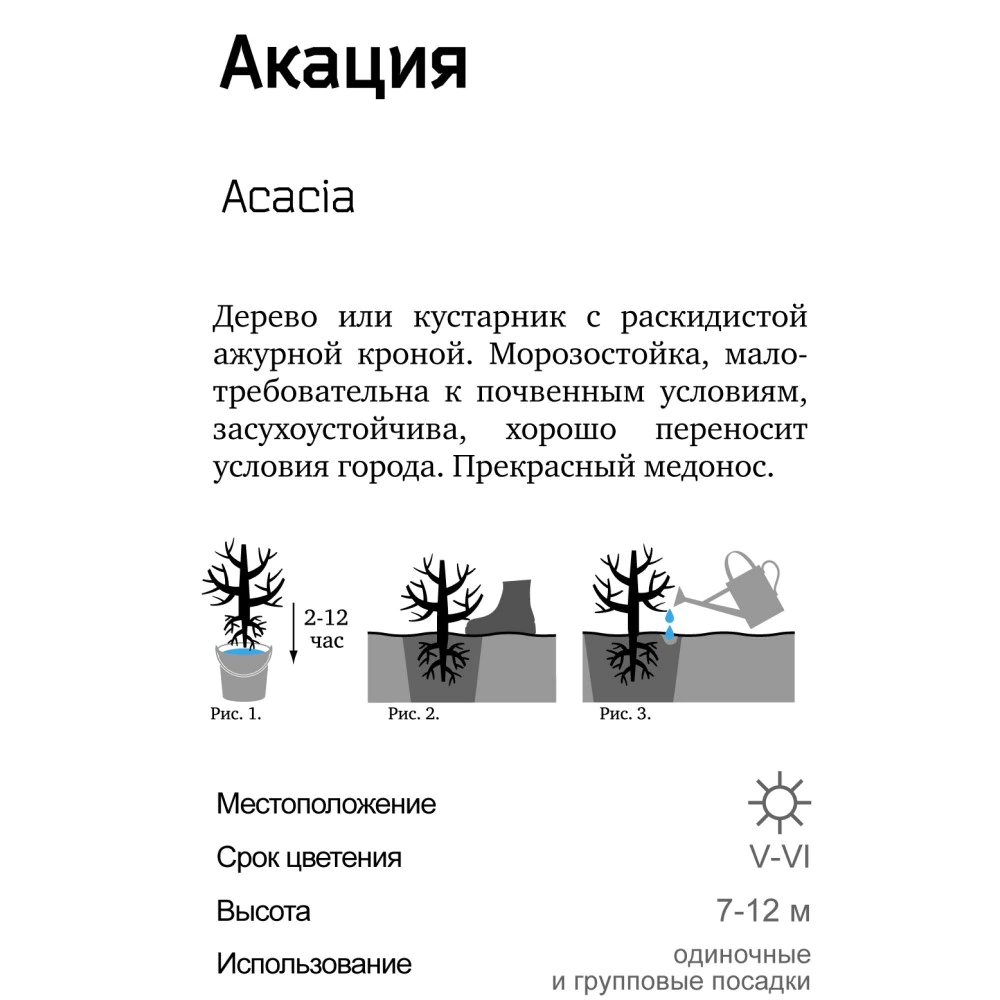 Акация желтая (в тубе)