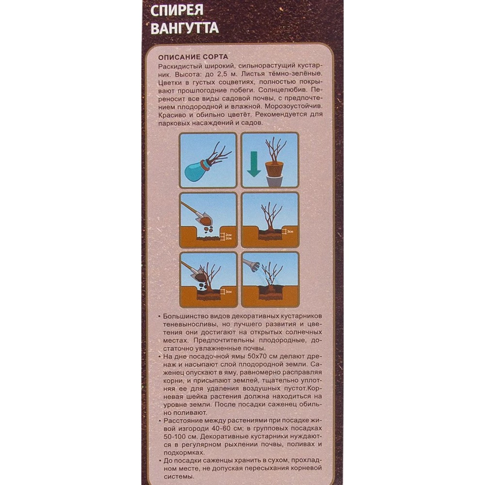 Спирея Вангутта (в тубе) 7цветов