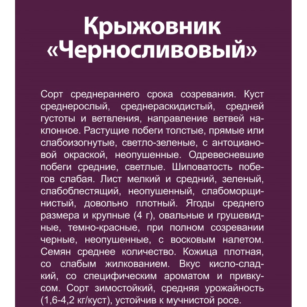 Крыжовник Черносливовый (в тубе)