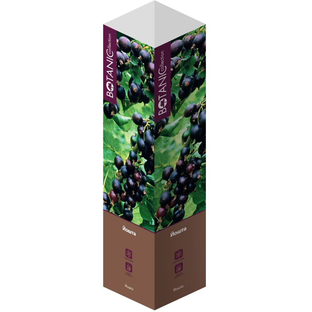 Йошта (в тубе)