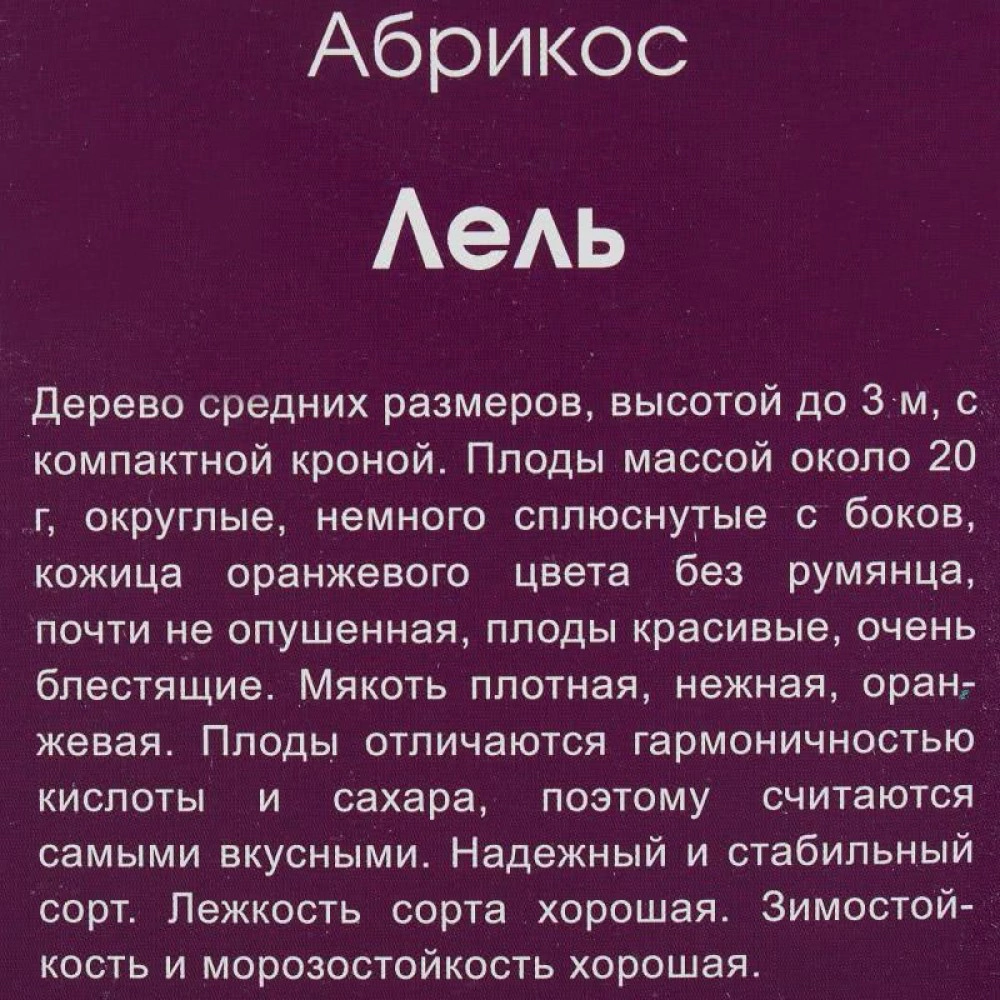 Абрикос Лель (в тубе)