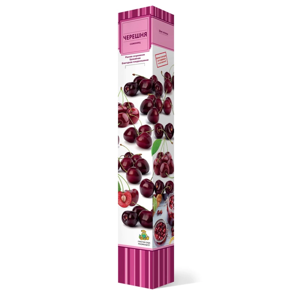 Черешня Ревна (в тубе) Поиск