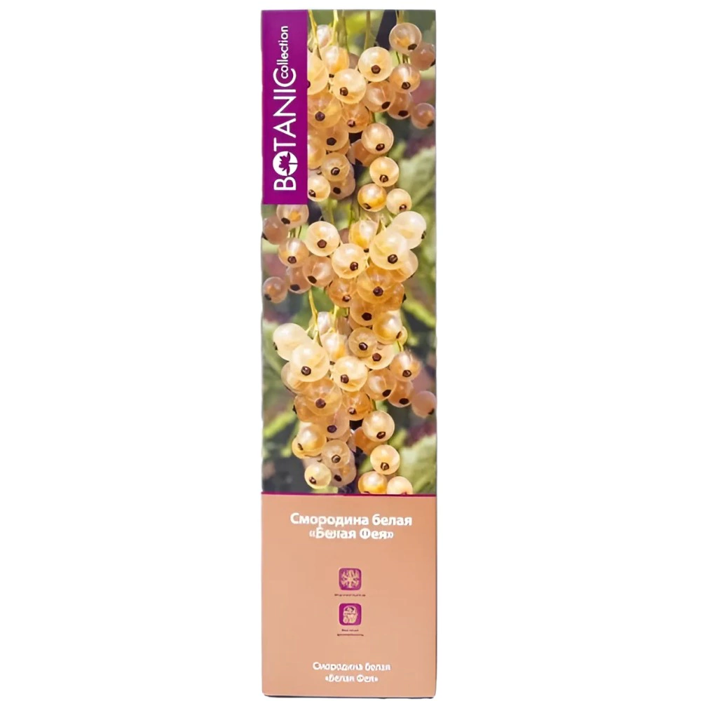 Смородина белая Белая Фея (в тубе) Botanic Collection