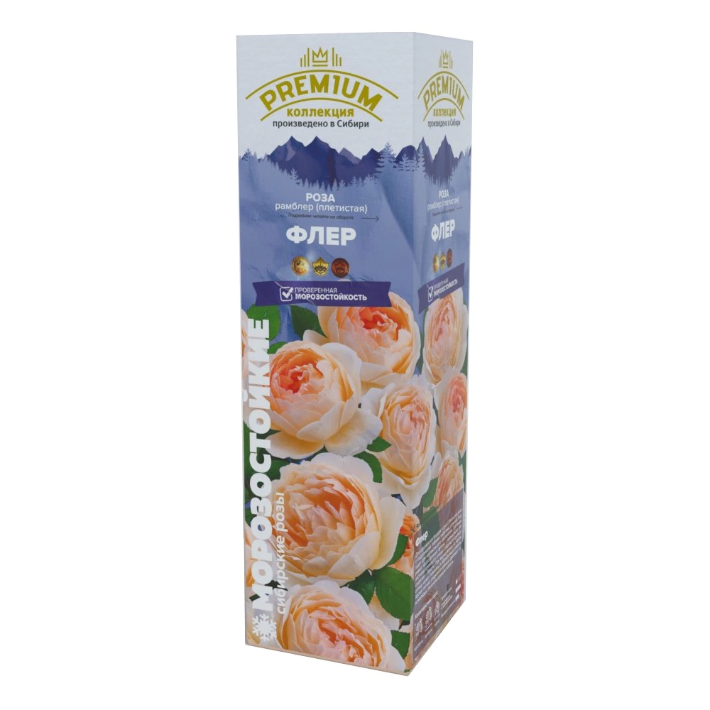 Роза плетистая Рамблер Флер (в тубе)