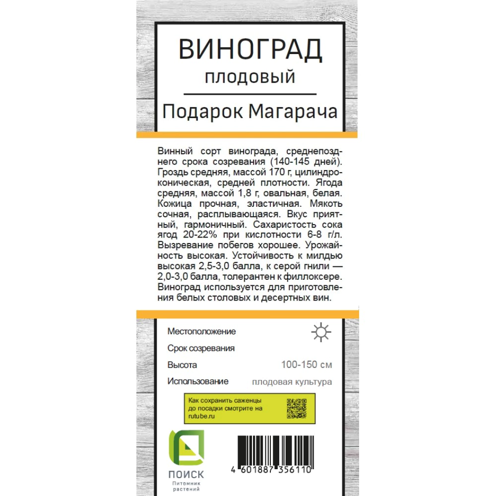 Виноград плодовый Подарок Магарача (в тубе)