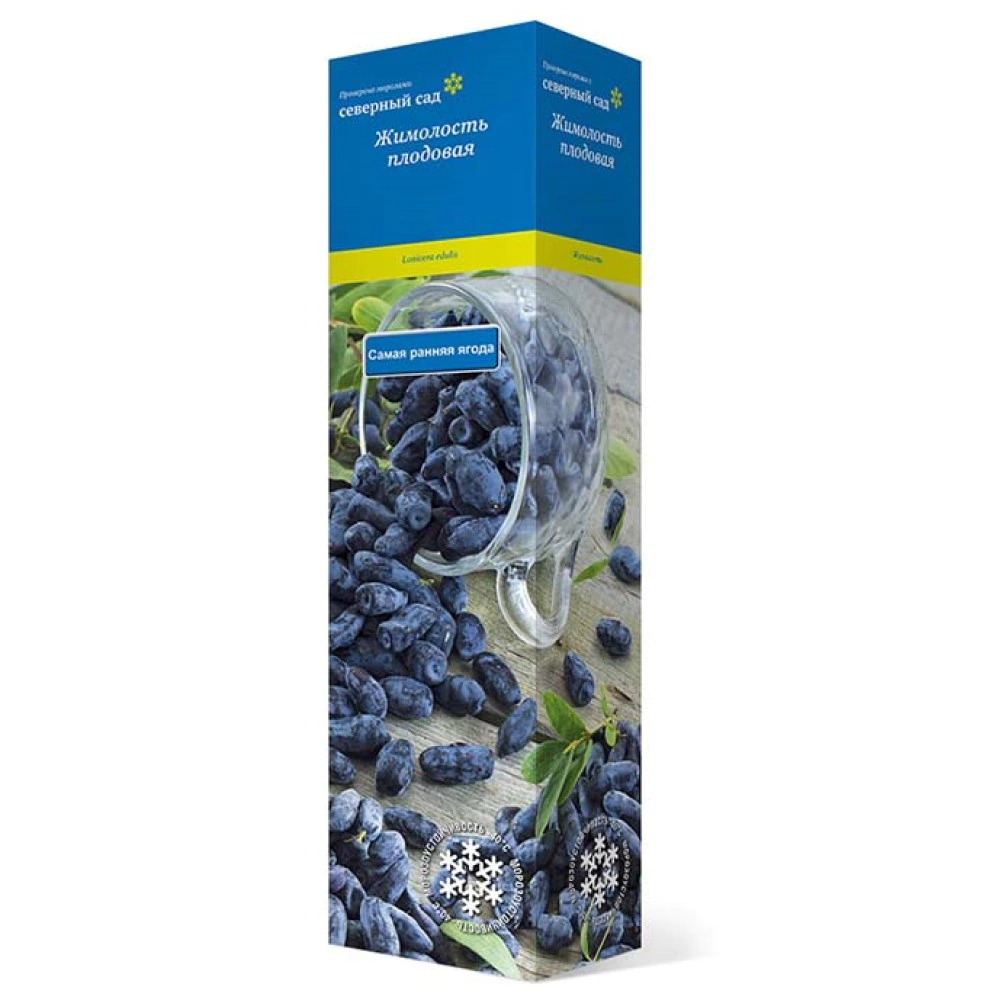 Жимолость съедобная Бакчарская (в тубе)