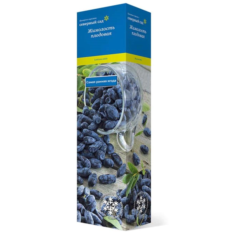 Жимолость съедобная Бакчарский великан (в тубе)