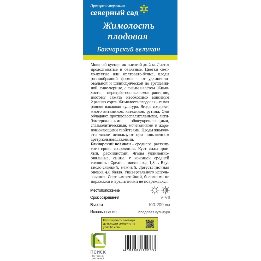 Жимолость съедобная Бакчарский великан (в тубе)