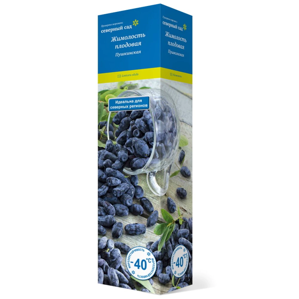 Жимолость съедобная Пушкинская(в тубе)