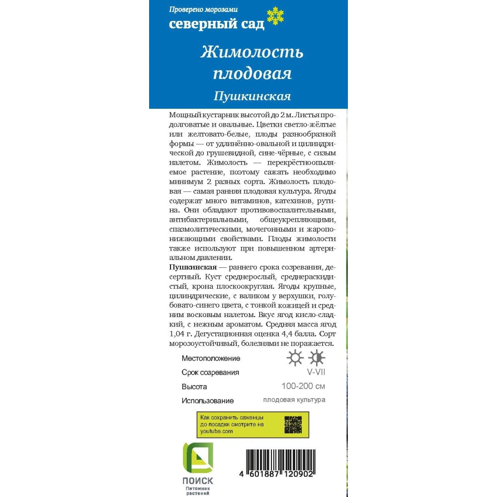 Жимолость съедобная Пушкинская(в тубе)