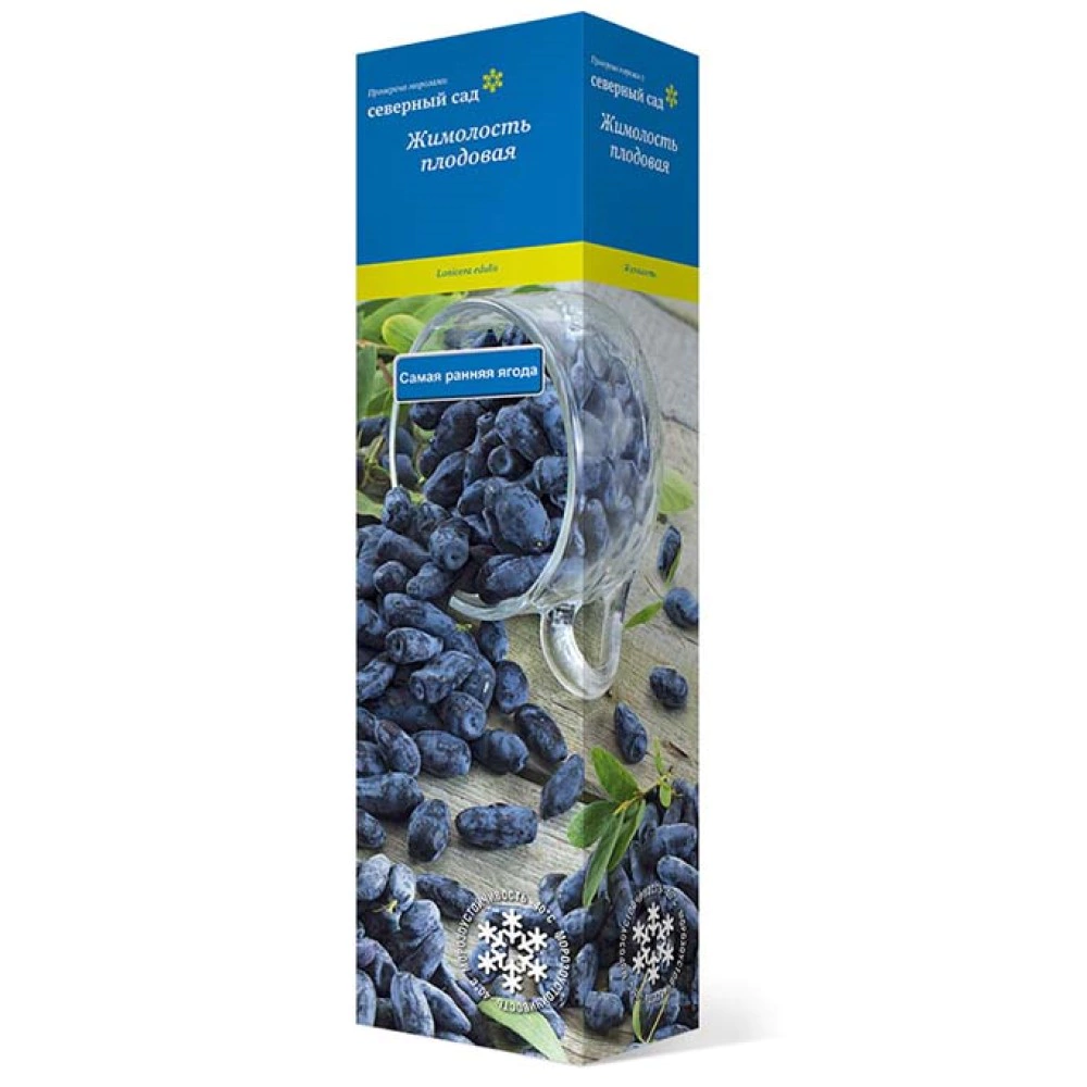 Жимолость съедобная Павловская (в тубе)