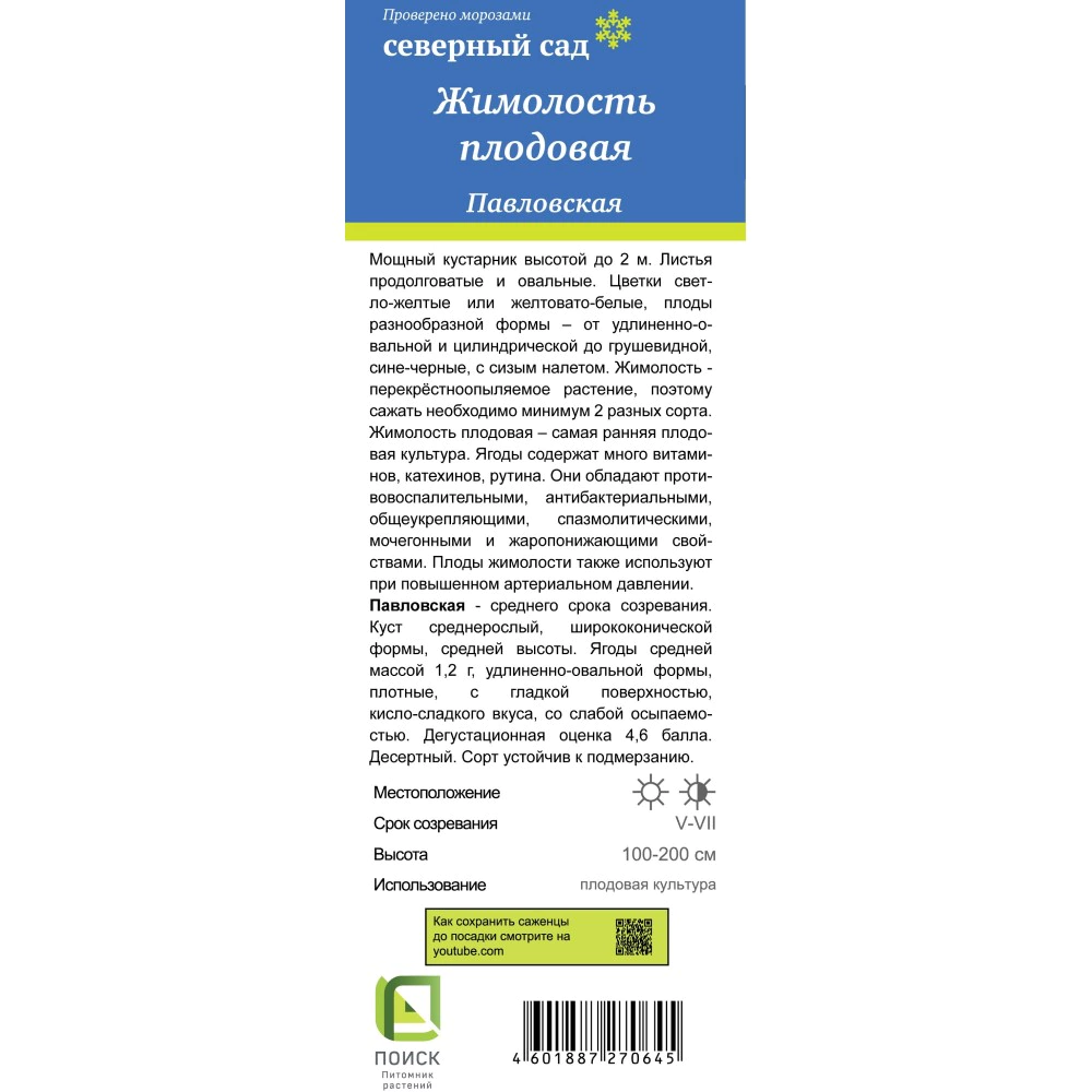 Жимолость съедобная Павловская (в тубе)