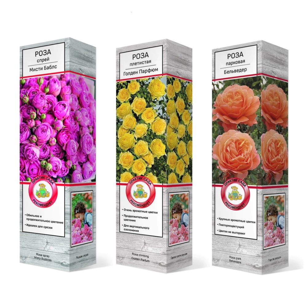 Роза плетистая/парковая/спрей микс (в тубе)