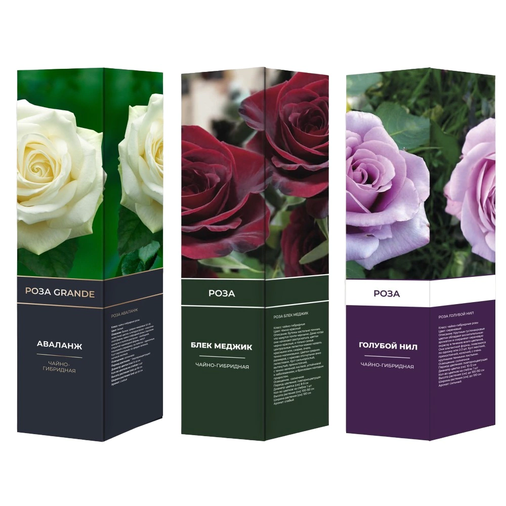 Роза микс (в тубе)