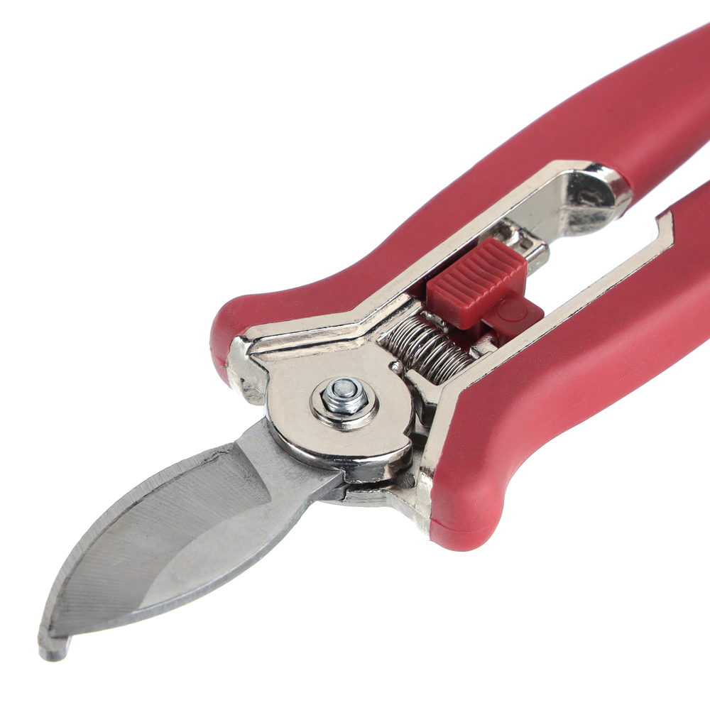 Секатор-ножницы для комнатных растений DORN