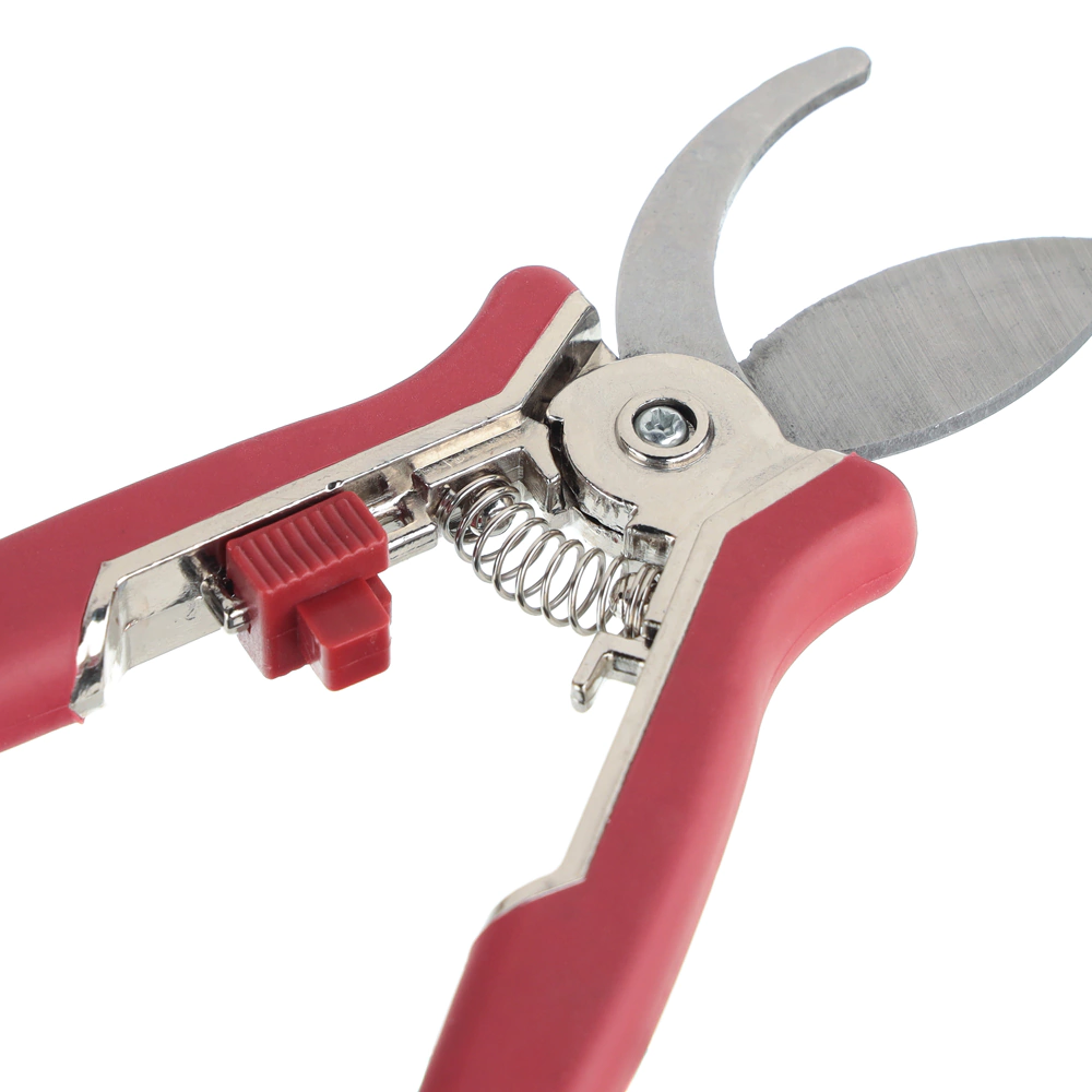 Секатор-ножницы для комнатных растений DORN