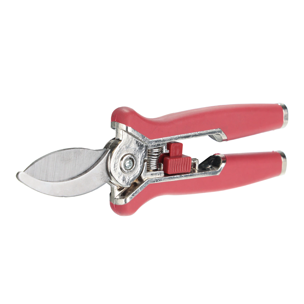 Секатор-ножницы для комнатных растений DORN