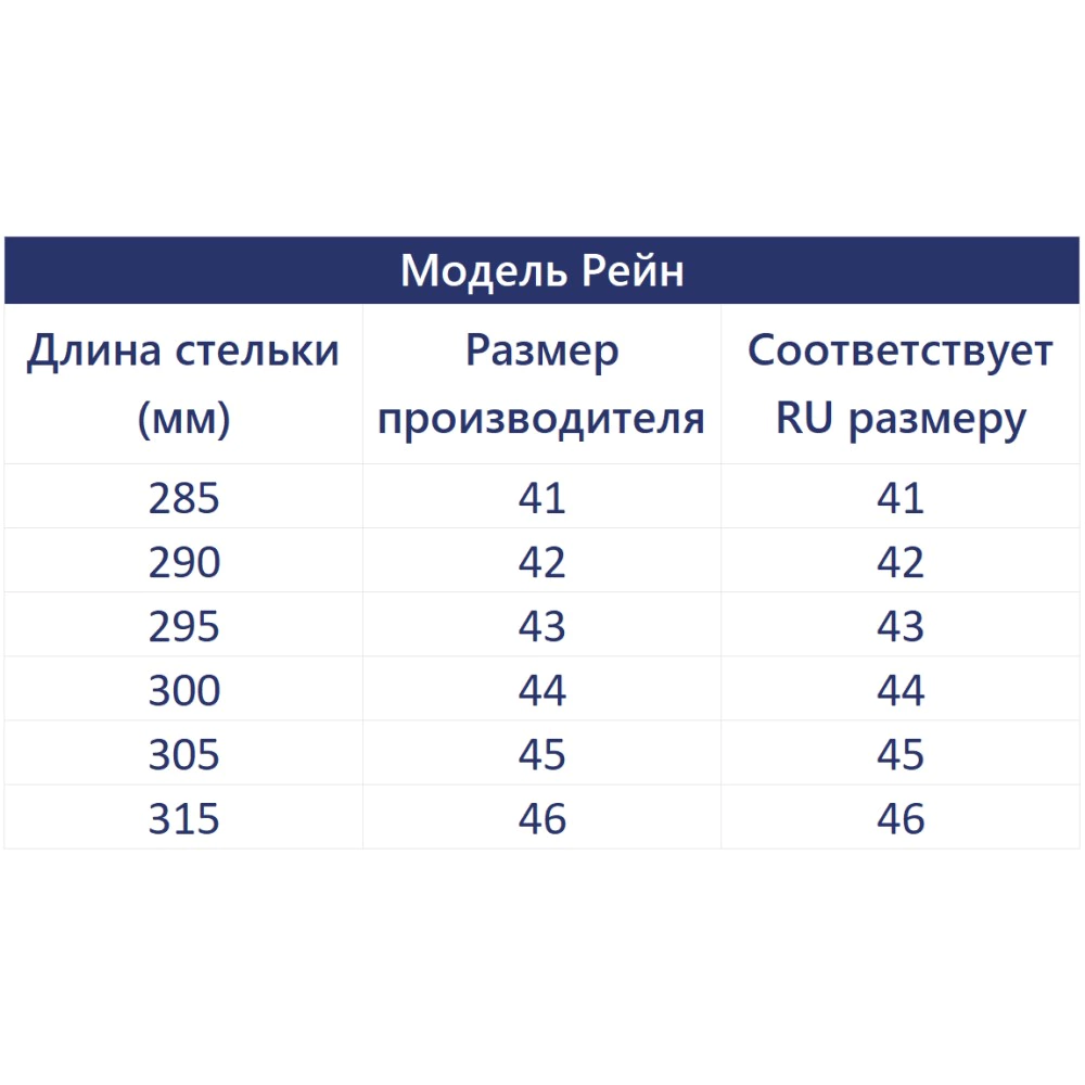 Галоши мужские размер 41 Рейн цвет микс EVART